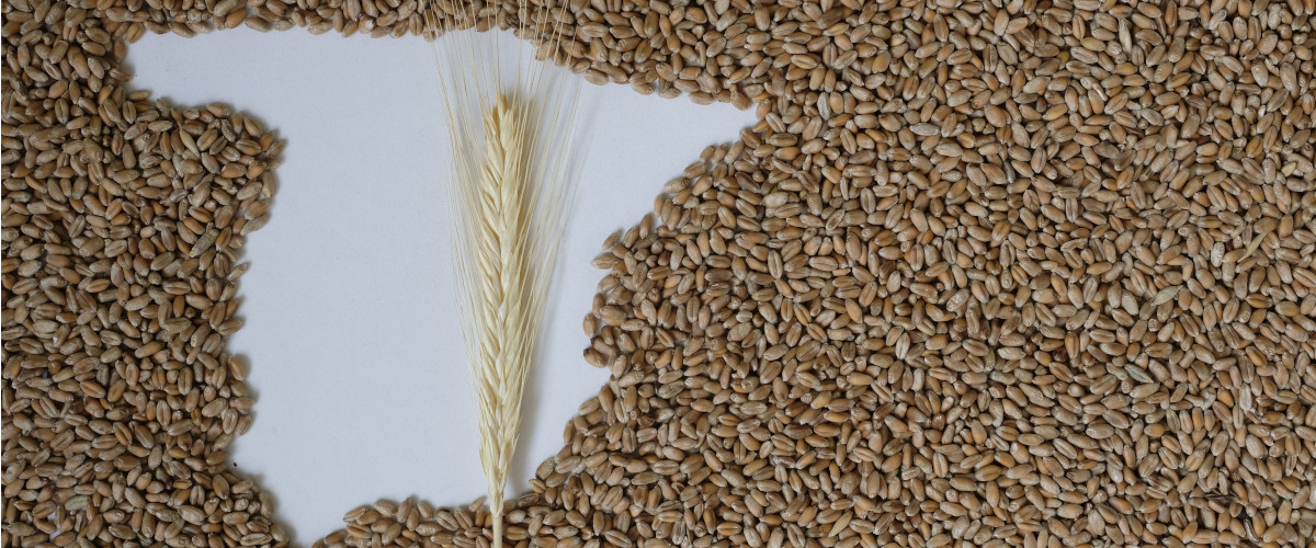 El sector agroalimentario, pilar esencial de la economía española